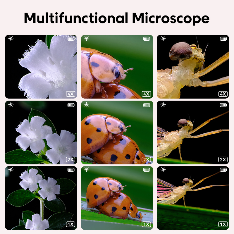 Mikroskop Optik Anak Mini deng - Kids Education Video ulasan dan harga